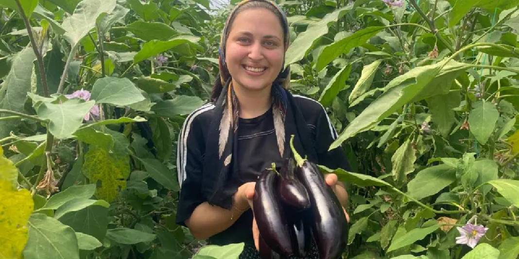 Nineden toruna geçen üretim! 3 kuşaktır yaz-kış demeden hasat yapıyorlar 5